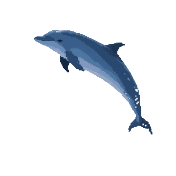 DOLPHIN.AI